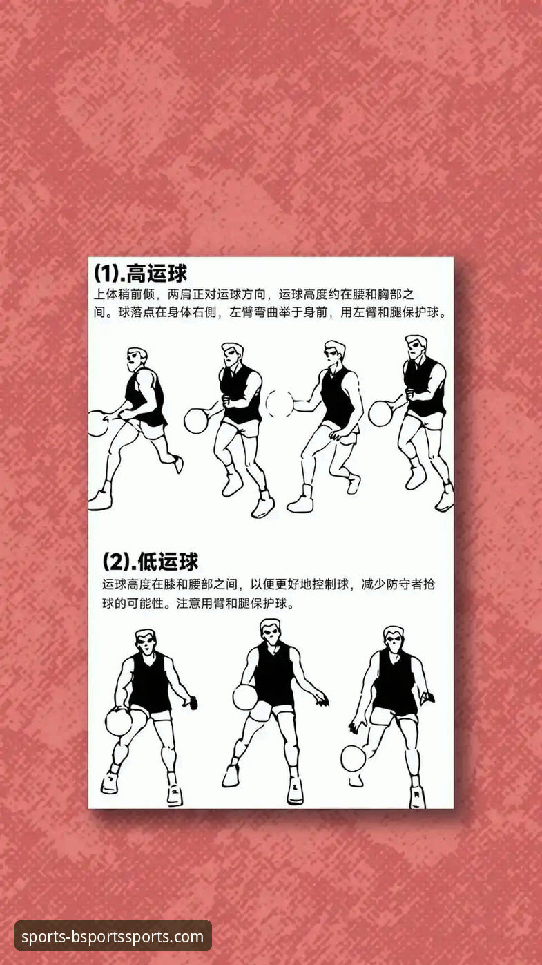 B体育平台使用教程：从新手到高手的完整操作指南